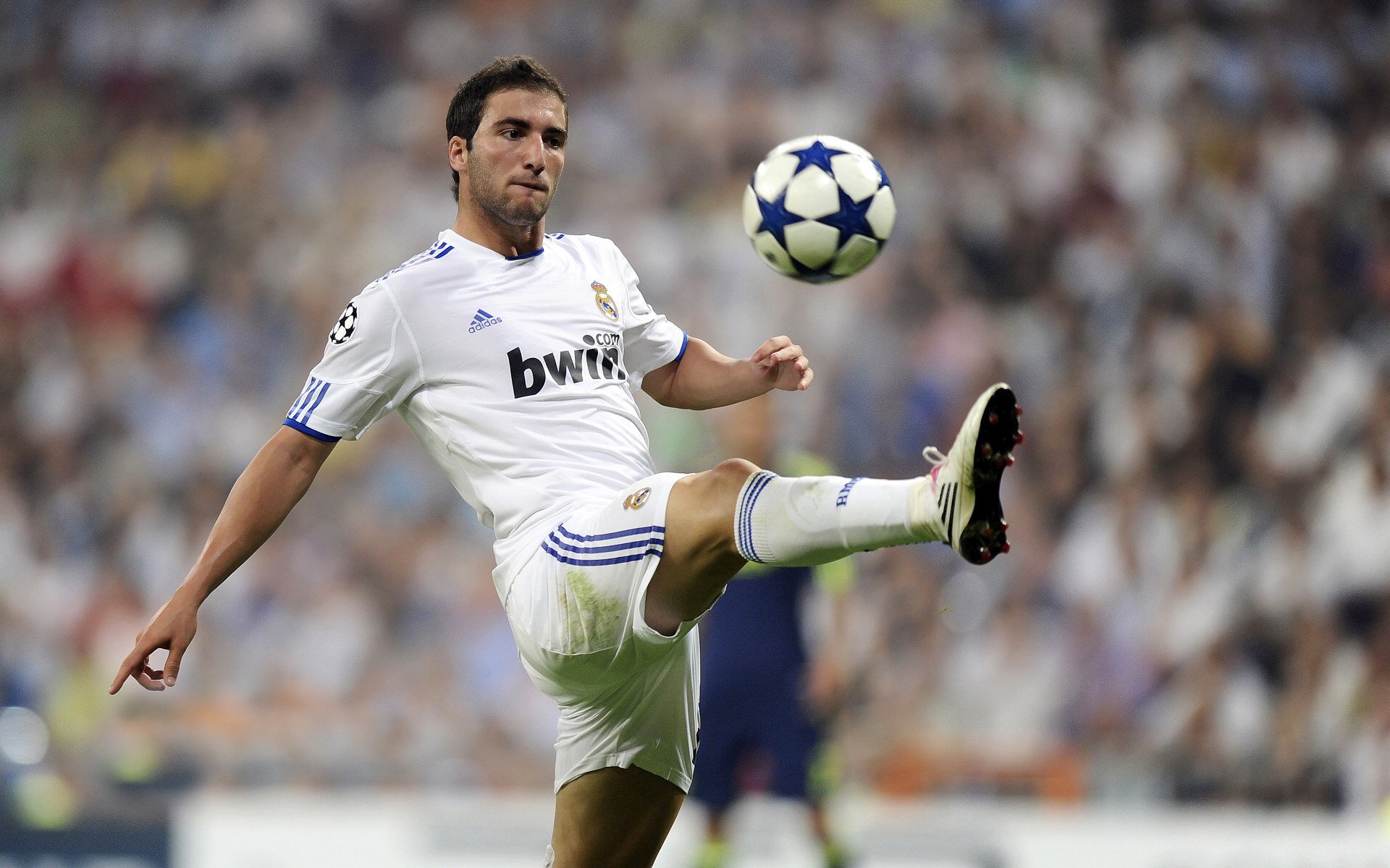 LPL观赛热度持续上涨直播平台竞争激烈，lpl观赛热度持续上涨直播平台竞争激烈怎么办